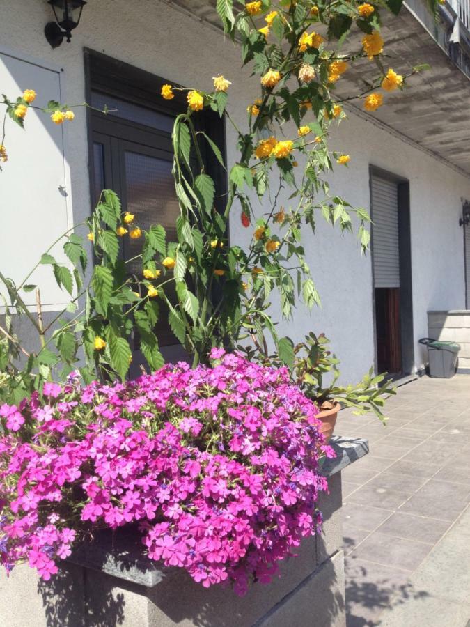 La Magnolia Apartment Ricco del Golfo di Spezia Exterior photo